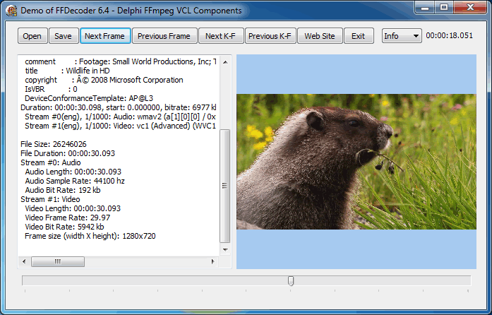 视频解码控件示例程序 - Delphi FFmpeg VCL Components